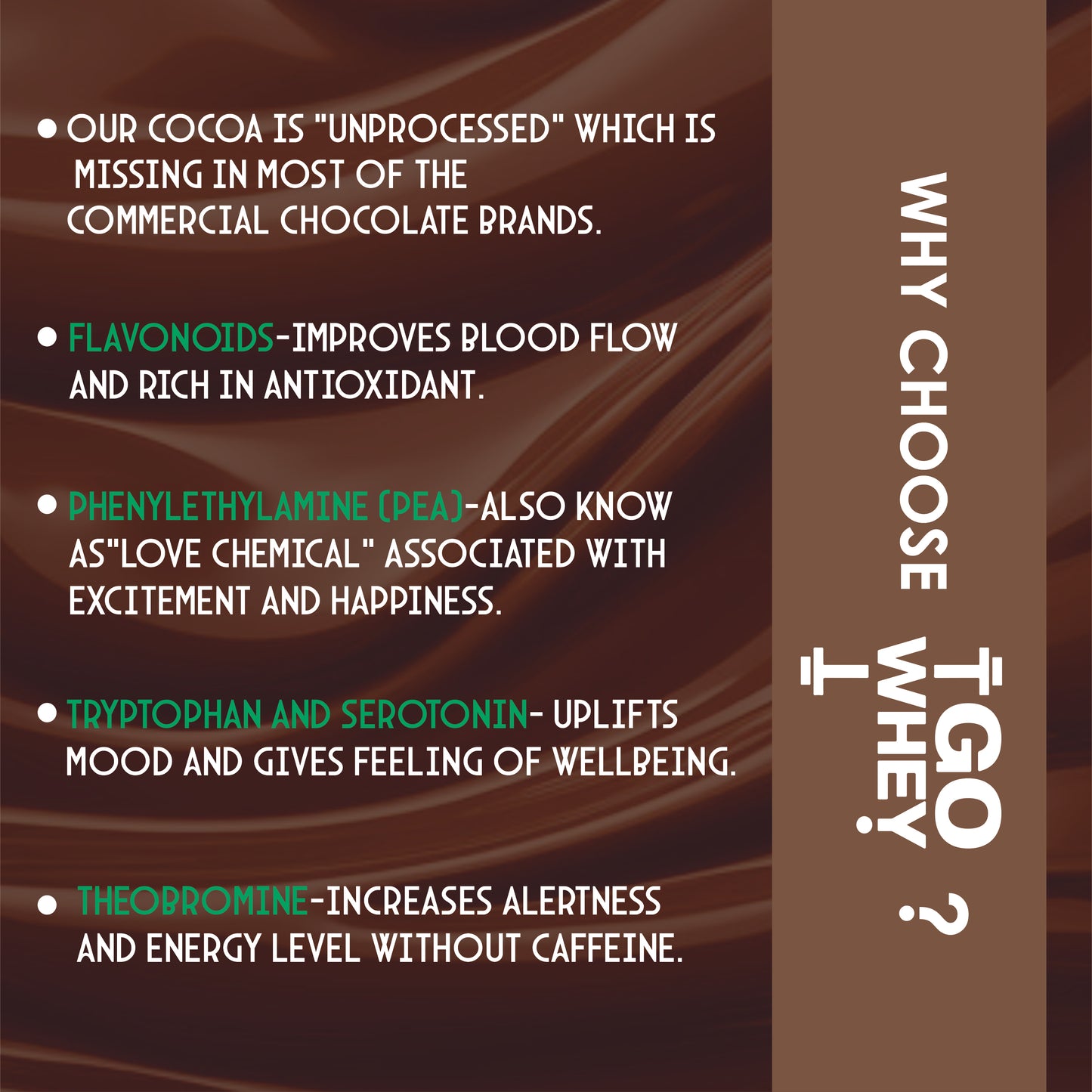 GoWhey Sugar-Free Dark Chocolate 60% with Roasted Hazelnut - 55g